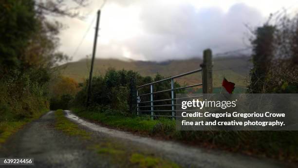 narrow country road - gregoria gregoriou crowe fine art and creative photography stock pictures, royalty-free photos & images