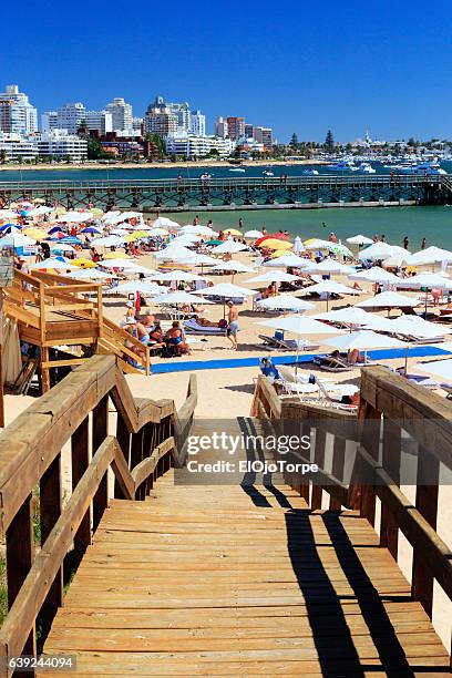 view of mansa beach, punta del este, uruguay - uruguay fotografías e imágenes de stock