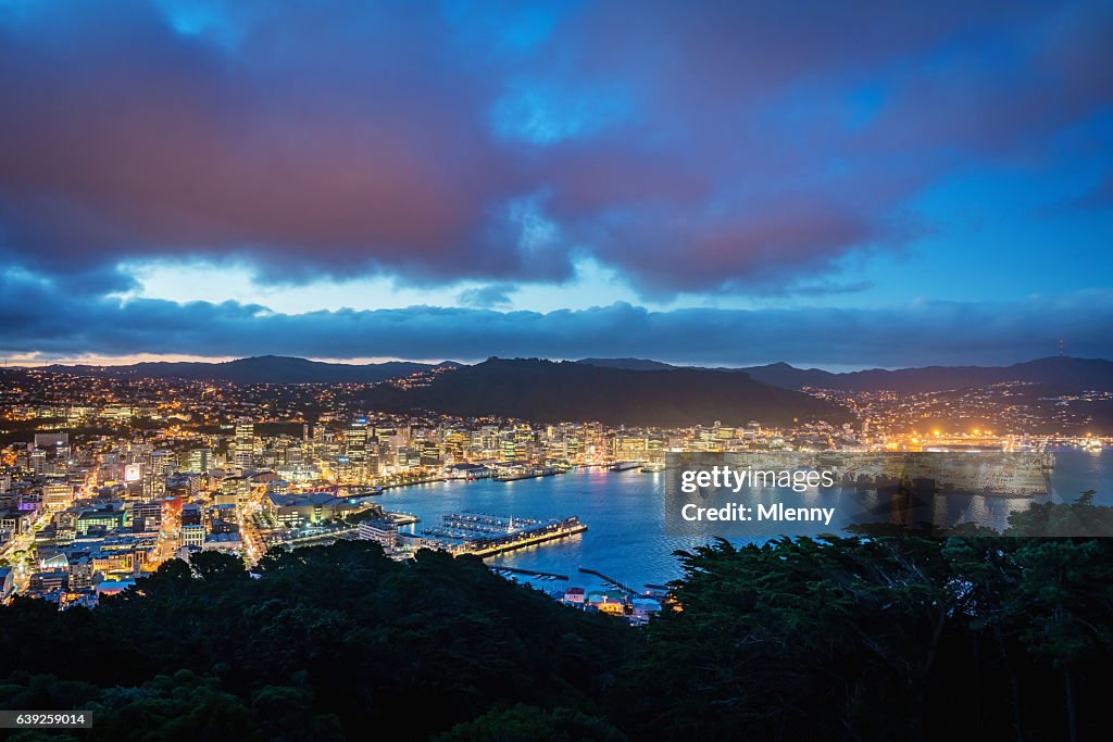 Wellington Cityscape New Zealand Twilight