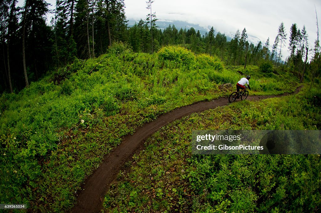 Mountain Bike Racer 