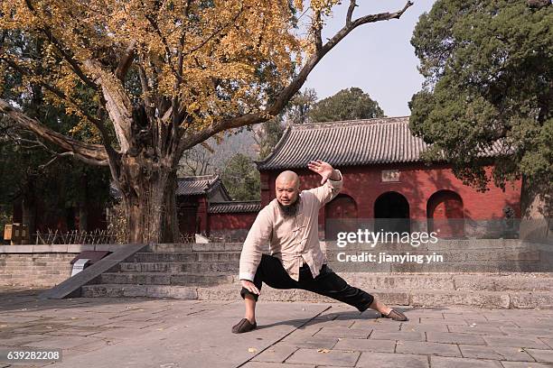 shaolin monk - kung fu man stock pictures, royalty-free photos & images