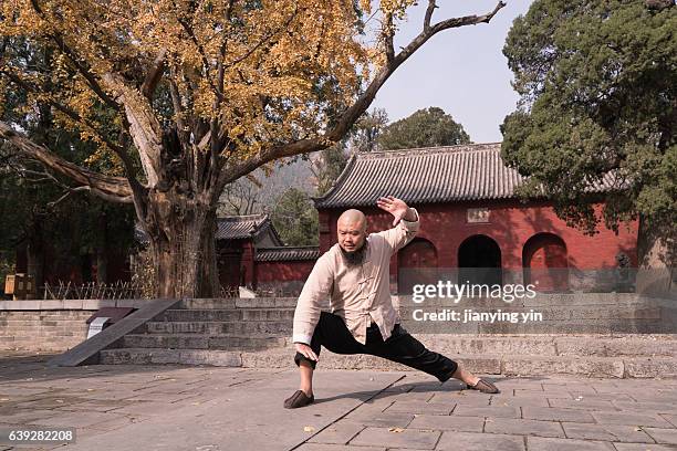 shaolin monk - monks of shaolin temple stock pictures, royalty-free photos & images