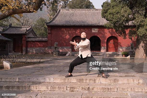 shaolin monk - kung fu stock pictures, royalty-free photos & images