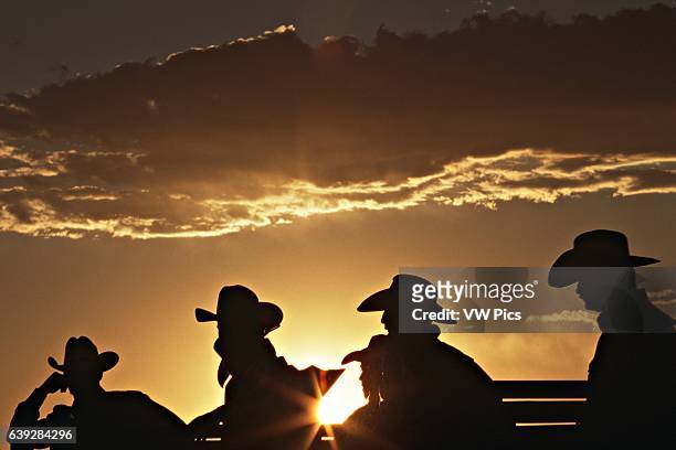 Cowboys at Rodeo, Santa Fe, New Mexico.