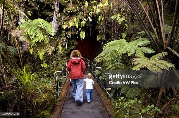 Thurston Lava Tube - Volcanoes National Park, Big Island, Hawaii, USA. Lava tube in Volcanoes National Park. Take a walk in the dark through Nahuku,...