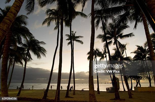 Sunset in the Beach of Waikiki Beach. O'ahu. Hawaii. Waikiki is most famous for its beaches and every room is just two or three blocks away from the...