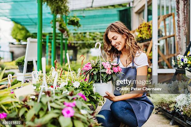 en el centro de jardinería - arreglo floral fotografías e imágenes de stock