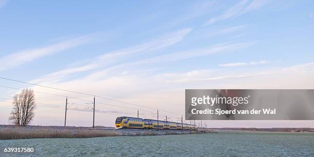tren de los ferrocarriles holandeses que conducen a través del paisaje congelado del invierno - sjoerd van der wal or sjocar fotografías e imágenes de stock
