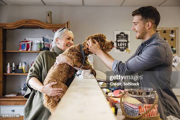 este ama a los groomers - propietario fotografías e imágenes de stock