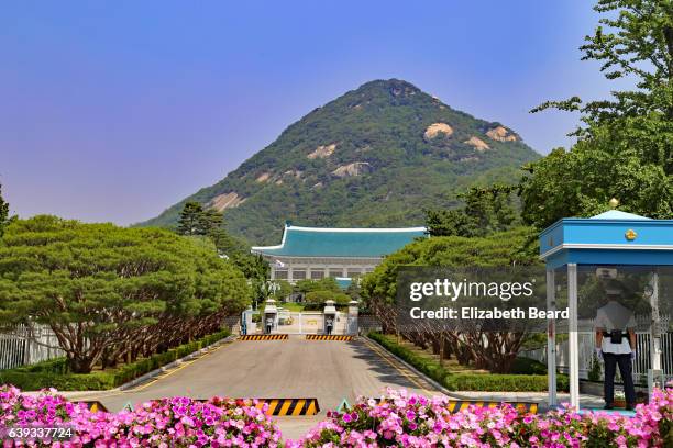 the blue house, home of the korean president, seoul - korea palace stock pictures, royalty-free photos & images