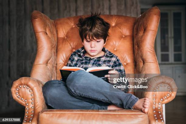 the pleasure of reading - curled up reading stock pictures, royalty-free photos & images