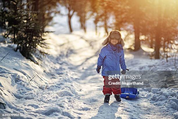 little boy pulling his sled in winter forest. - fur hat stock pictures, royalty-free photos & images