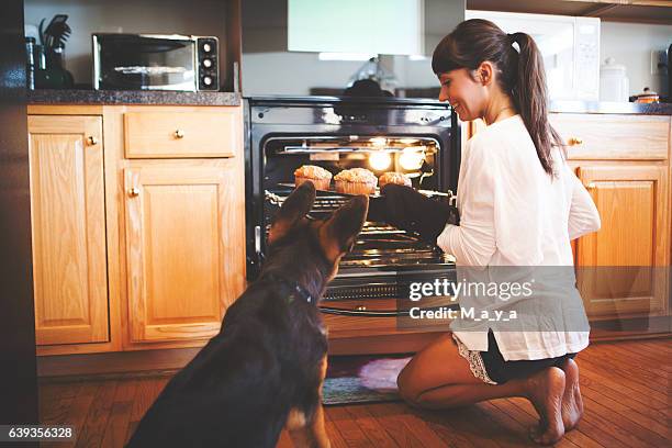 something smells nice - dog in the kitchen stock pictures, royalty-free photos & images