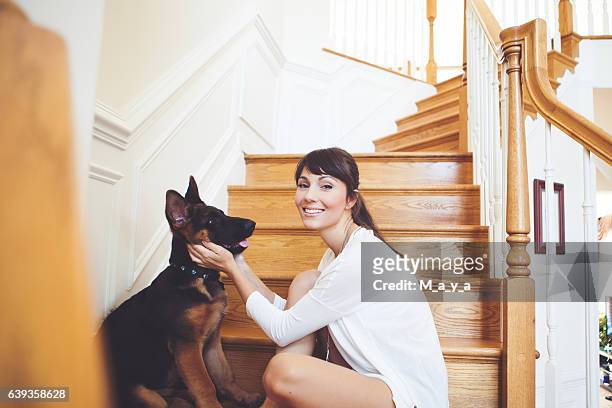 puppy at new home - german shepherd sitting stock pictures, royalty-free photos & images