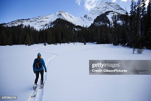 canada snow shoe girl - canadian rockies stock pictures, royalty-free photos & images