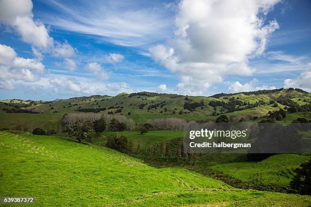 perfect fluffy clouds over rolling new zealand farmland - rural new zealand stock pictures, royalty-free photos & images