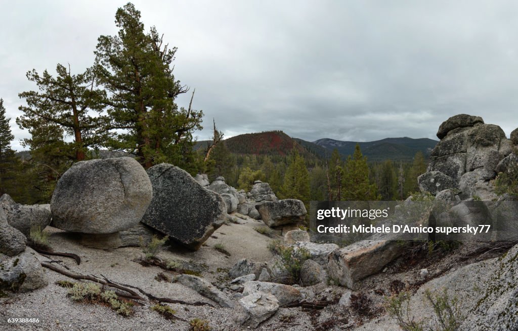 Red Volcano in the foxtail pine forest.