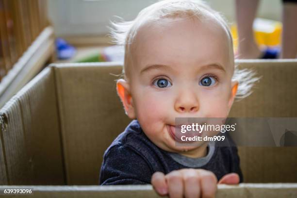 the funny one - babymeisjes stockfoto's en -beelden