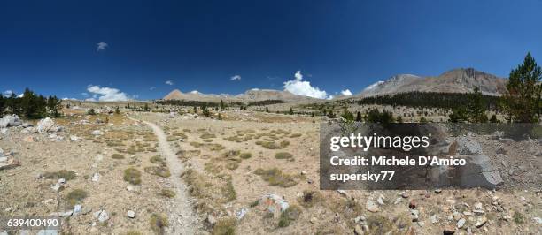 grass circles in the alpine barren landscape of the high sierra - high sierra trail stock pictures, royalty-free photos & images