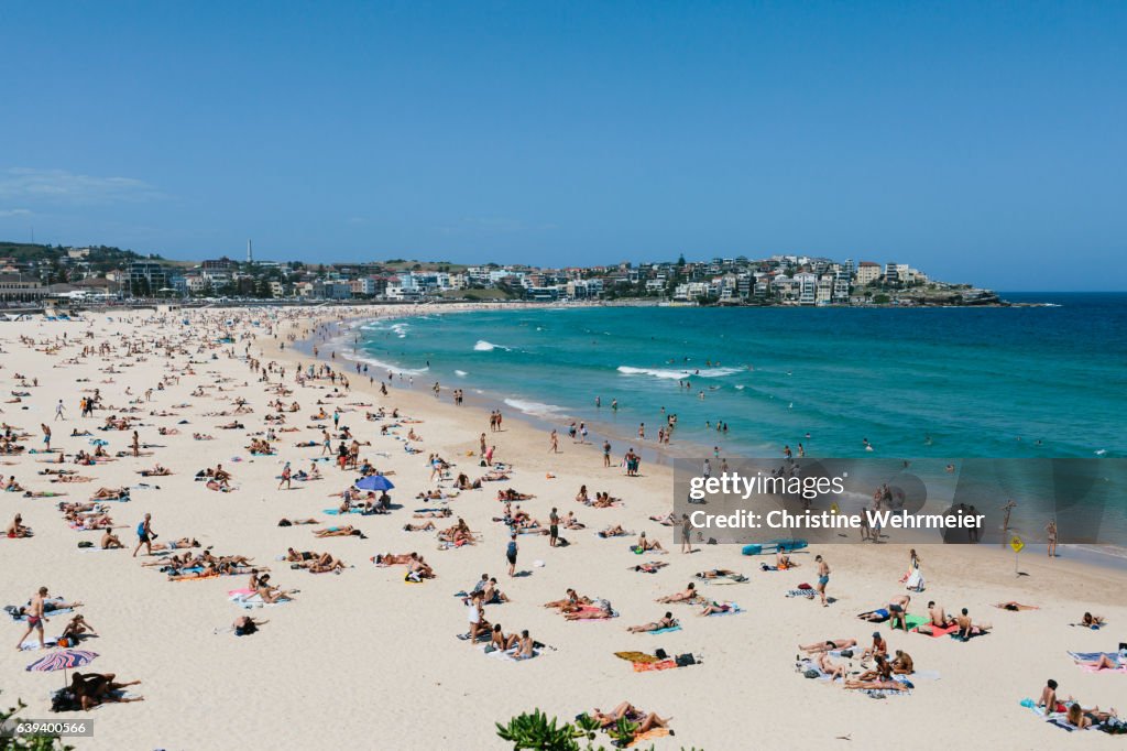 A busy landscape image of Bondi beach, filled with sunbathers on a sunny day