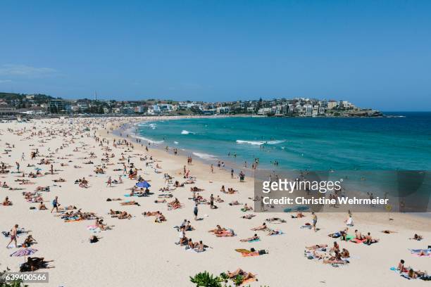 a busy landscape image of bondi beach, filled with sunbathers on a sunny day - christine wehrmeier stock pictures, royalty-free photos & images
