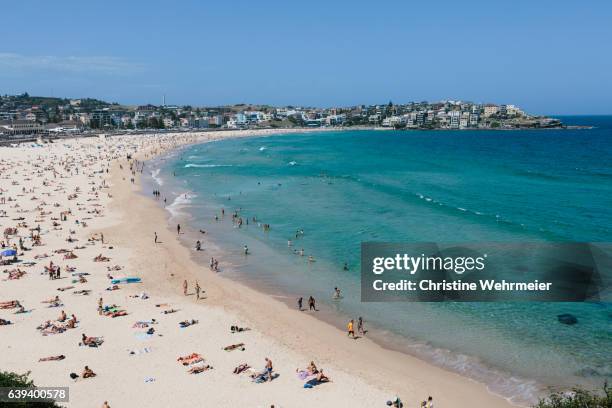 a view of bondi beach and sunbathers on a bright sunny day - christine wehrmeier stock pictures, royalty-free photos & images