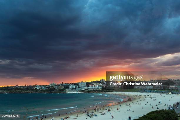 spectacular, fiery sunset at bondi beach - christine wehrmeier stock pictures, royalty-free photos & images