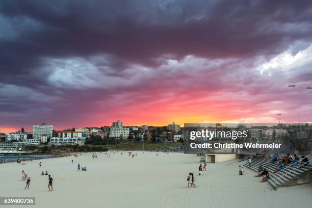 people enjoying a flame coloured sunset over bondi beach - christine wehrmeier stock pictures, royalty-free photos & images