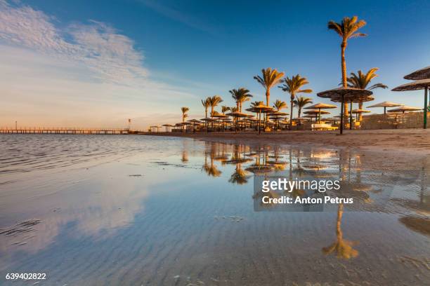 sunset on the sandy beach. red sea, egypt - red sea photos et images de collection