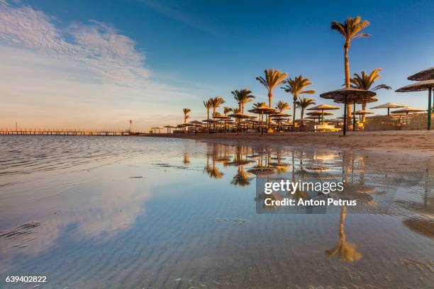 sunset on the sandy beach. red sea, egypt - mar vermelho - fotografias e filmes do acervo