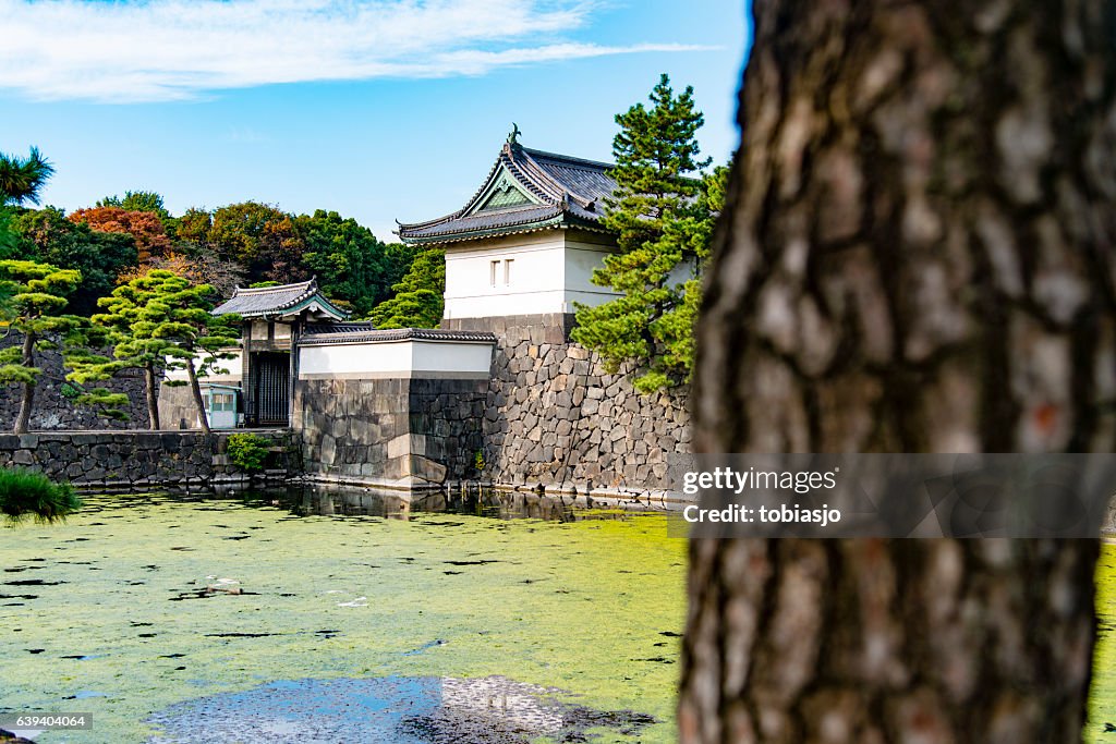 Imperial Palace, Tokyo