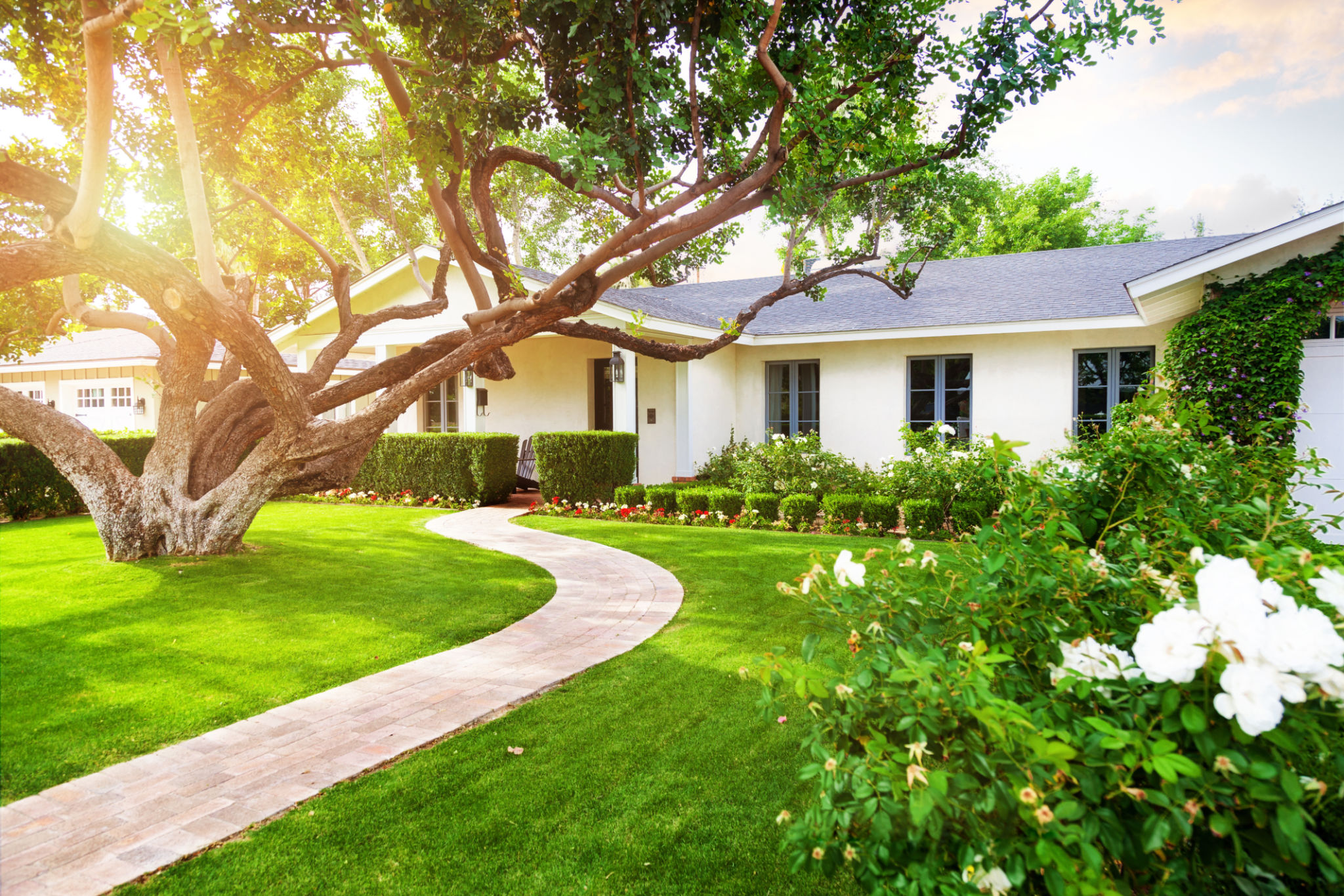 arizona garden