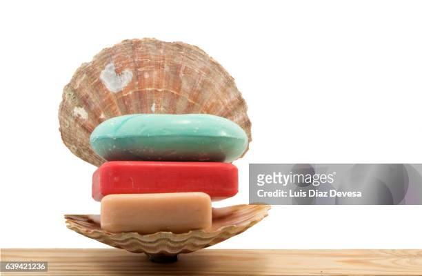 soaps in a scallop soapdish - bar soap stock pictures, royalty-free photos & images