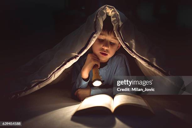 niño leyendo un libro bajo las cubiertas con linterna - duvet fotografías e imágenes de stock