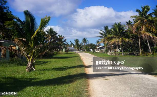 niue village - niue stock pictures, royalty-free photos & images