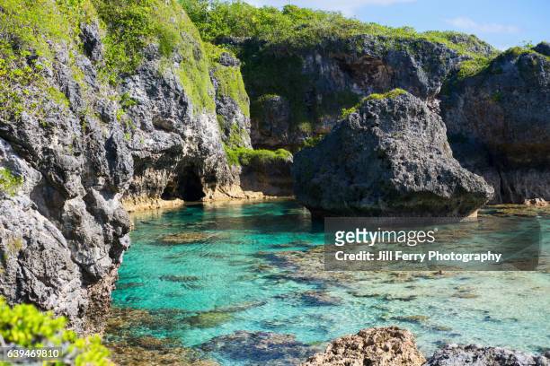 limu pools - niue island stockfoto's en -beelden