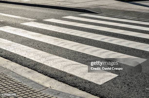 zebra crossing - paso de cebra fotografías e imágenes de stock