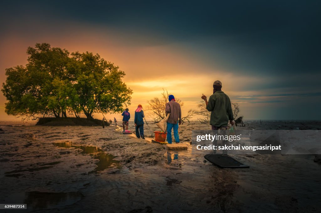 Rear View Of People With Bucket Walking In Beach
