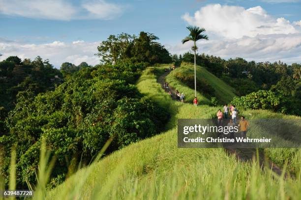 locals and tourists enjoying a walk along the campuhan ridge walk in ubud, bali in the late afternoon - campuhan ridge walk stockfoto's en -beelden