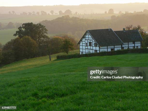 cultural landscape of limburg, netherlands - bauernhaus stock-fotos und bilder