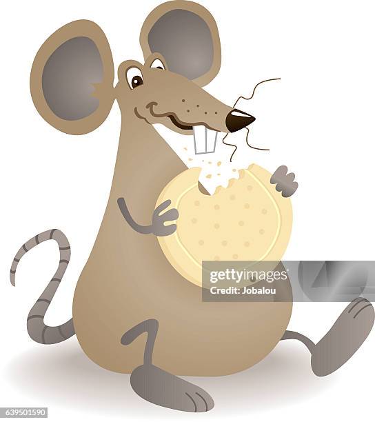 700 Cartoon Rats Stock Photos, High-Res Pictures, and Images - Getty Images