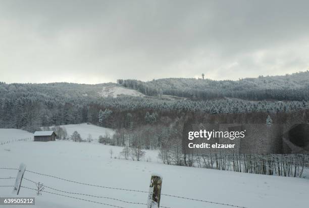 salzburgland landscape - bare trees on snowfield stock pictures, royalty-free photos & images