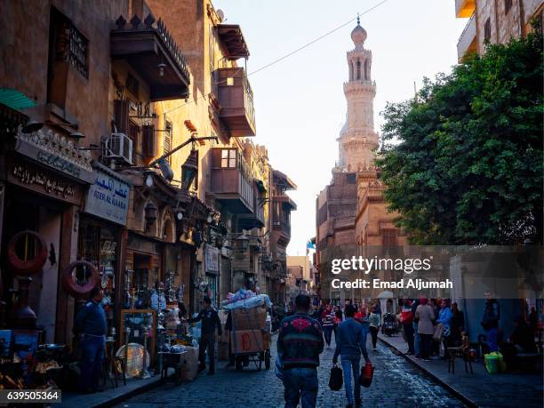 516 Muizz Stock Photos, High-Res Pictures, and Images - Getty Images