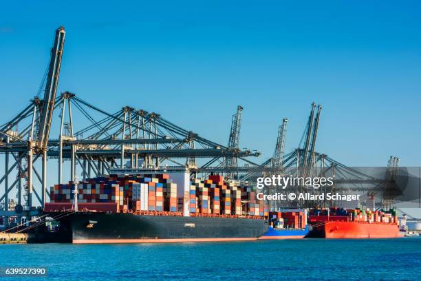 container ships docked in rotterdam harbour - rotterdam port foto e immagini stock