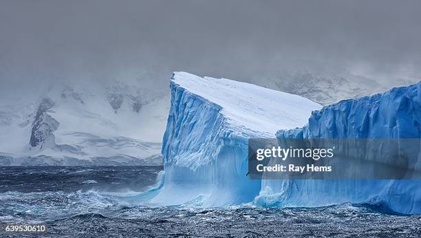 iceberg massif flottant en antarctique - océan glacial antarctique photos et images de collection