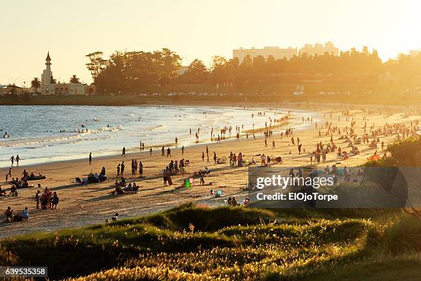 view of buceo beach at sunset, montevideo, uruguay - buceo stockfoto's en -beelden