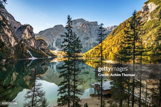 braies lake, dolomite alps, italy, europe - herbstlaub stock pictures, royalty-free photos & images