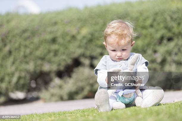 you are my friend right? - baby bunny stockfoto's en -beelden