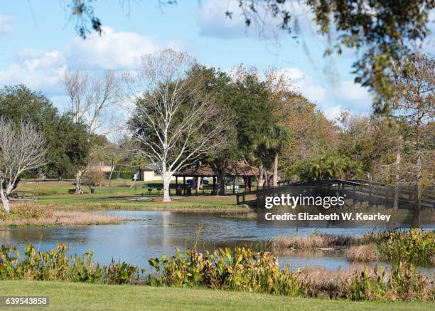 venetian gardens in leesburg, florida - leesburg stock pictures, royalty-free photos & images