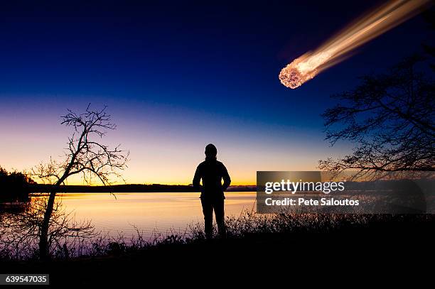 silhouette of adult watching meteor falling in night sky - shooting star stock pictures, royalty-free photos & images